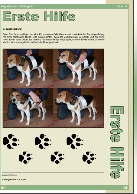 Ausgabe 1 März 2010 BeagleFriends - DAS Magazin