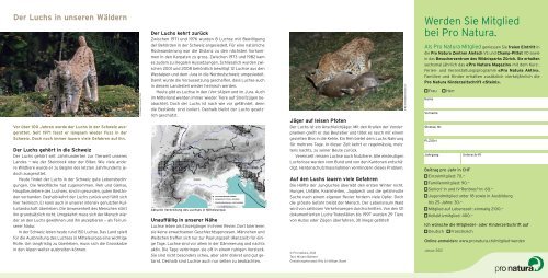 Der Luchs in unseren Wäldern» (pdf) - Pro Natura