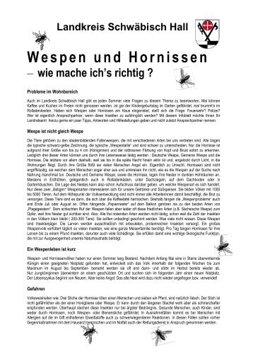 Wespen und Hornissen - Landkreis Schwäbisch Hall
