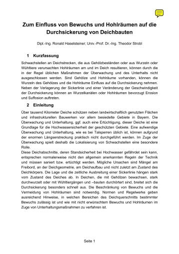 paper008 (pdf-File) - Dr-haselsteiner.de
