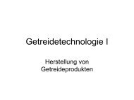 Getreidetechnologie I