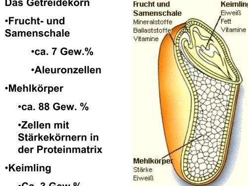 Getreidetechnologie I