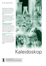 Kaleidoskop Nr. 30 / 2010 (807 kB, PDF) - Amt für ...