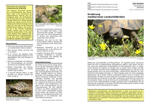 Die Ernährung mediterraner Landschildkröten (PDF)