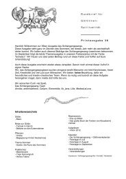 PDF-Ausgabe (ca. 685 kb) - Schlangengesang