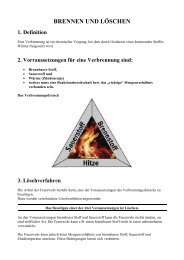 Brennen und Löschen [PDF Download] - Stadtfeuerwehr Weiz
