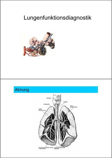 Lungenfunktionsdiagnostik