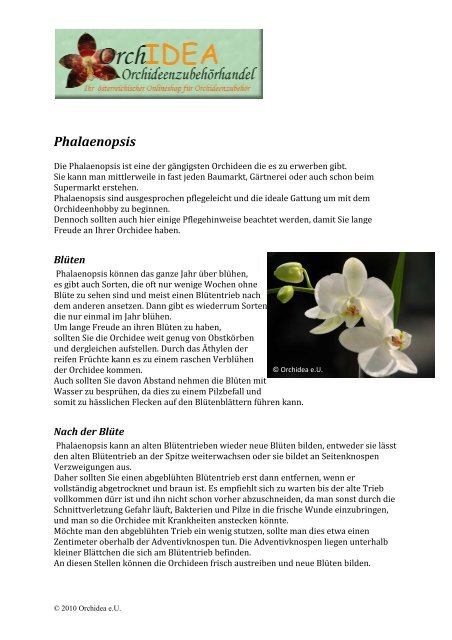 Anleitung für Phalaenopsis (pdf) - ORCHIDEA.at