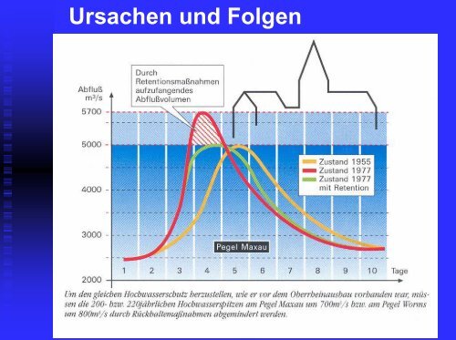 Informationsveranstaltung (pdf 2,2MB) - Freie Wähler Dettenheim