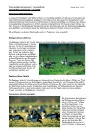 Fachliche Info Nordische Gastvögel - Niedersachsen