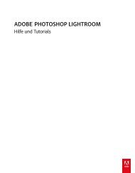 Lightroom 5-Handbuch - Adobe