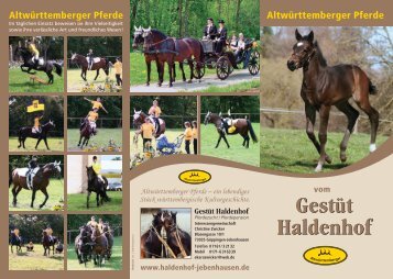 Flyer Haldenhof Altwürttemberger Pferde - auf dem Haldenhof in ...