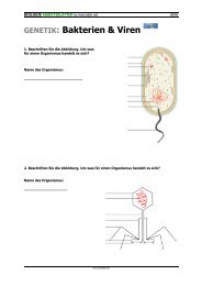 GENETIK: Bakterien & Viren - Learnable