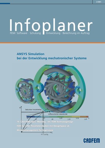 Infoplaner 2-2001 - Cadfem