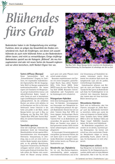 August / September 2013 „Neu und ganz anders“ sind Worte ... - Florist