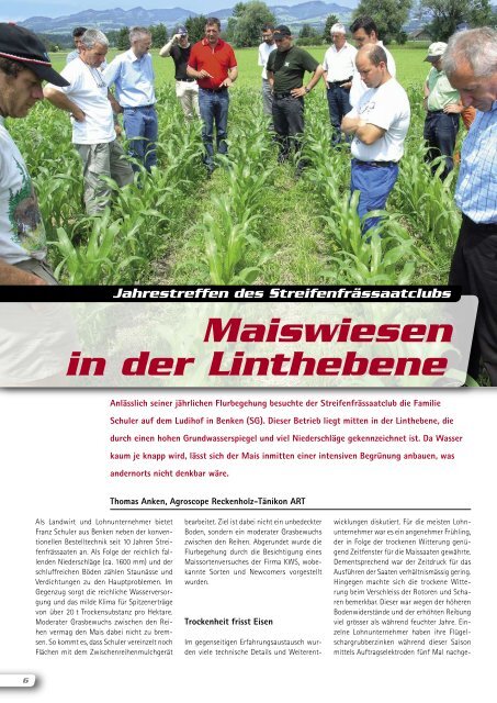 Maiswiesen in der Linthebene