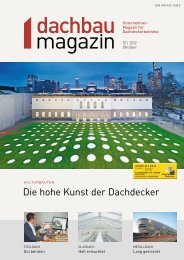 Die hohe Kunst der Dachdecker - Dachbaumagazin