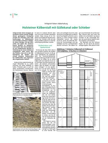 Holsteiner Kälberstall mit Güllekanal oder Schieber