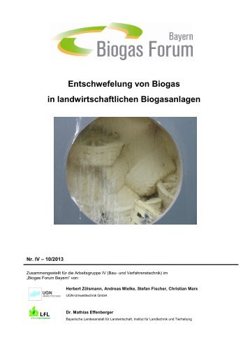 Entschwefelung von Biogas in landwirtschaftlichen Biogasanlagen ...