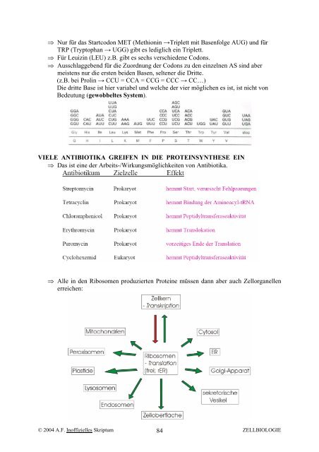 Zellbiologie WS 2004-05 (Inoffizielles Skriptum) - Komplett