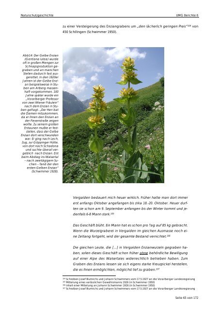 Download als pdf (24,79 mb) - UMG Umweltbüro Grabher
