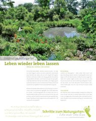 Leseproben (pdf hier öffnen)