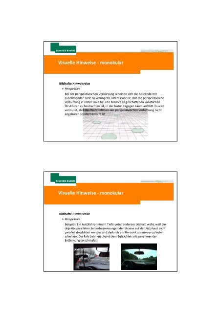 Mechanismen der Tiefenwahrnehmung