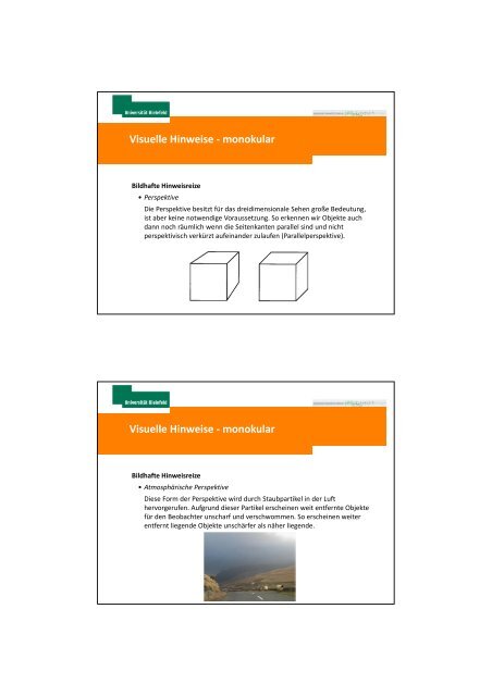 Mechanismen der Tiefenwahrnehmung