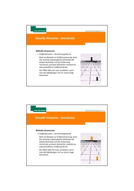 Mechanismen der Tiefenwahrnehmung