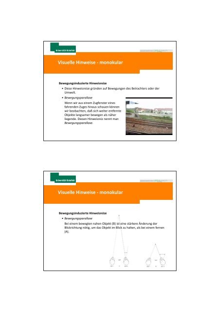 Mechanismen der Tiefenwahrnehmung