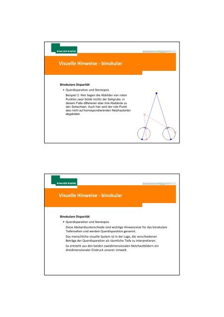 Mechanismen der Tiefenwahrnehmung