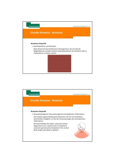 Mechanismen der Tiefenwahrnehmung