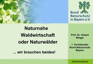 Naturnahe Waldwirtschaft - Naturwälder: wir brauchen beides!