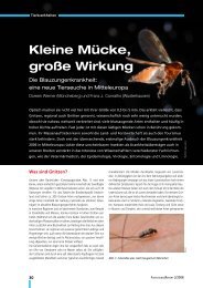 Kleine Mücke, große Wirkung - Niedersachsen