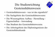 Die Studienrichtung Gesteinshüttenwesen