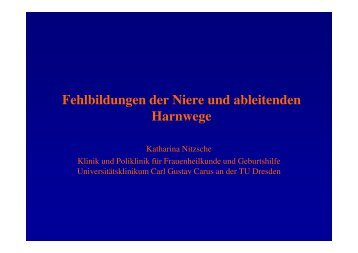 Fehlbildungen der Niere und ableitenden Harnwege