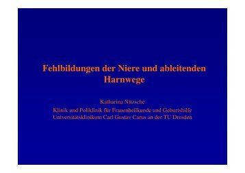 Fehlbildungen der Niere und ableitenden Harnwege