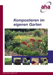 Schöne Pfingstrose /"CANDY STRIPE/" Gesunde Wurzelpflanze ! keine Samen