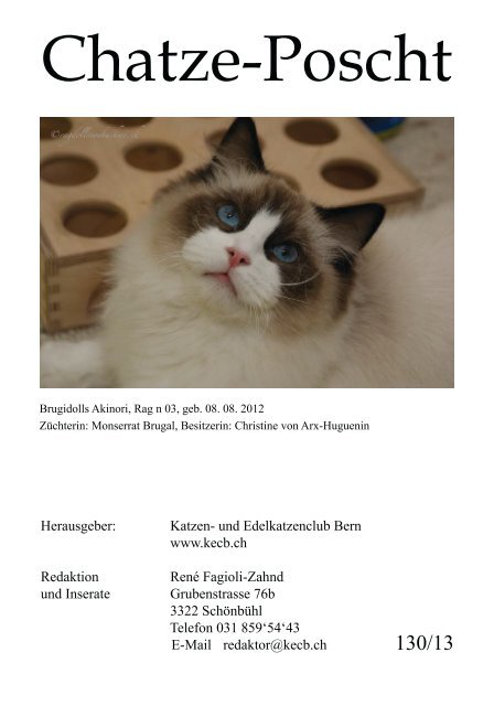Chatze-Poscht 130/13 - des Katzen- und Edelkatzenclub Bern