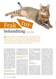 Frakturversorgung bei der Katze - Kleintierpraxis Markdorf