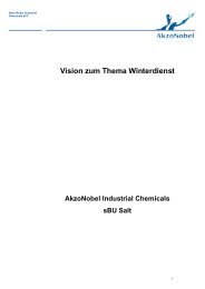 Vision zum Thema Winterdienst - AkzoNobel