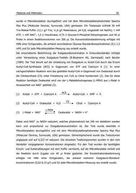 Untersuchungen zum Überflussmetabolismus in Escherichia coli