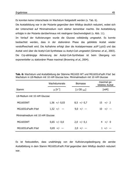 Untersuchungen zum Überflussmetabolismus in Escherichia coli