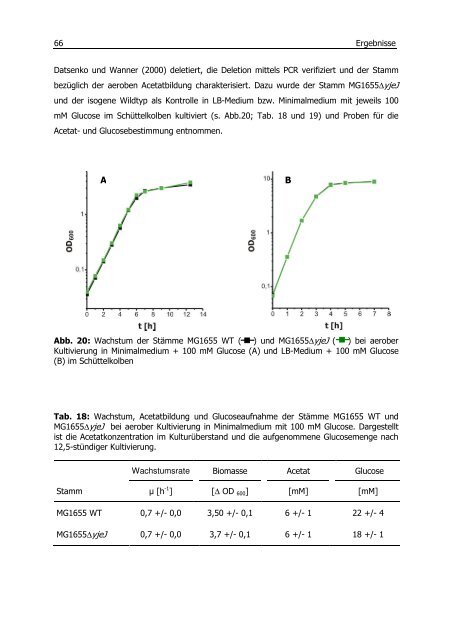 Untersuchungen zum Überflussmetabolismus in Escherichia coli