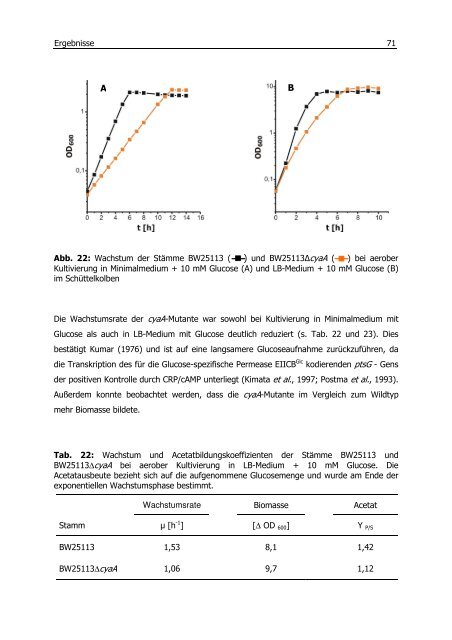 Untersuchungen zum Überflussmetabolismus in Escherichia coli