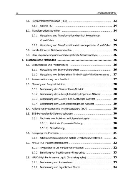 Untersuchungen zum Überflussmetabolismus in Escherichia coli