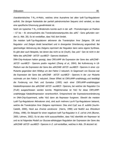 Untersuchungen zum Überflussmetabolismus in Escherichia coli