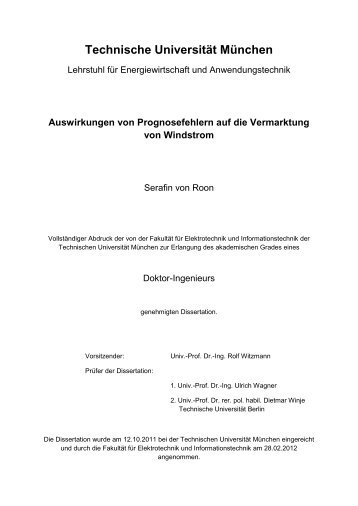 20120228_Dissertation_von_Roon.pdf - Forschungsstelle für ...