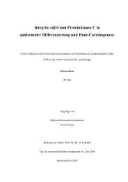 Dokument_1.pdf (4821 KB) - KLUEDO - Universität Kaiserslautern