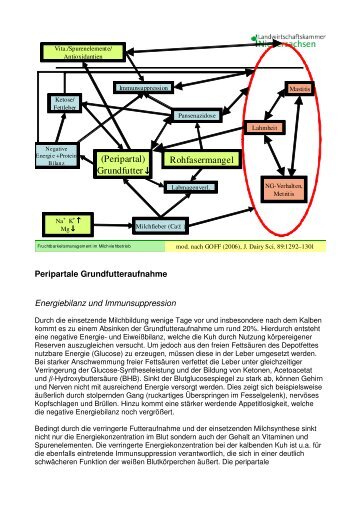 Unterlagen von Dr. Klindworth